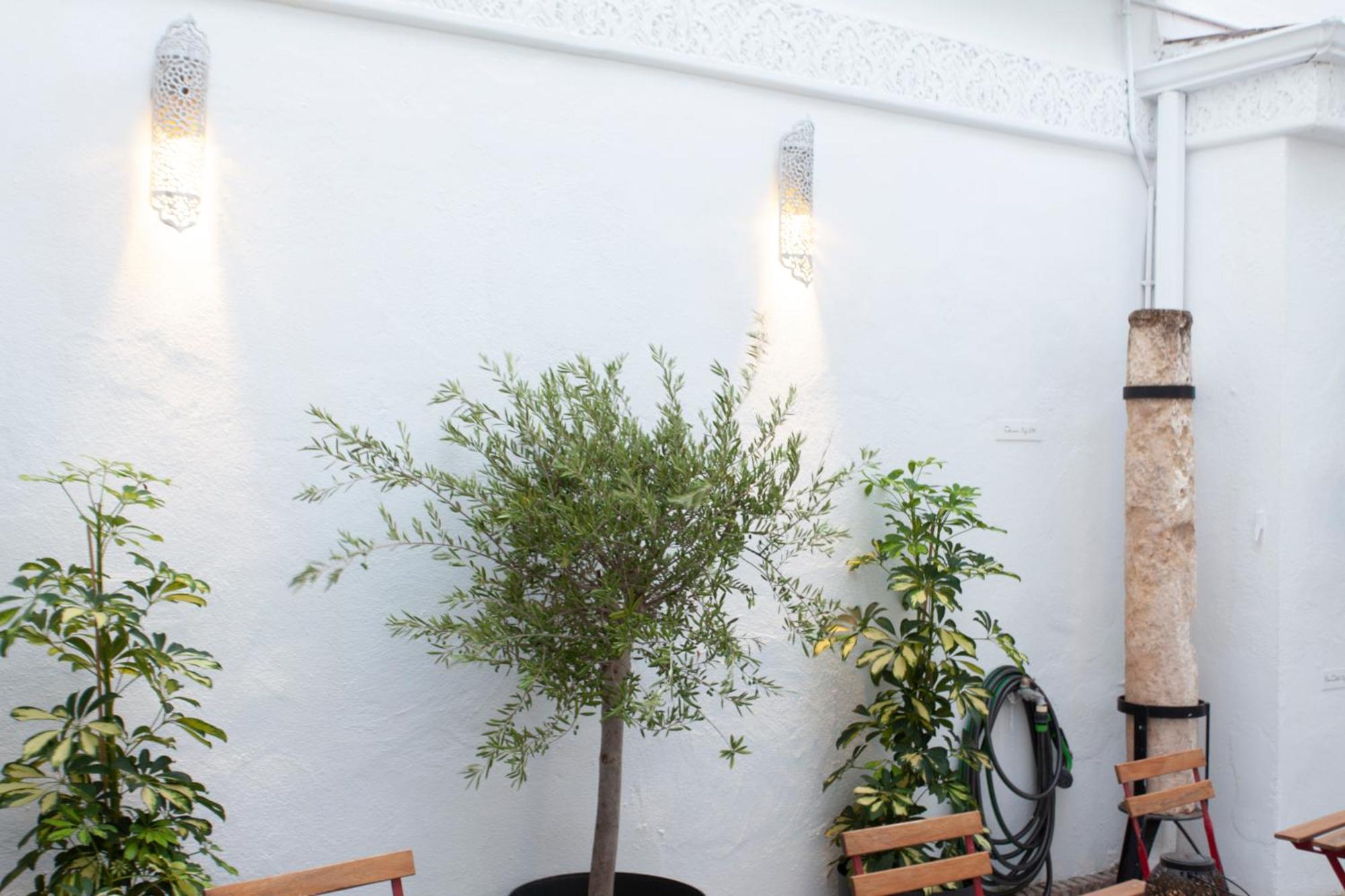 Altabib Riad Cordoba Luaran gambar